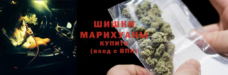 blacksprut зеркало  Александров  Бошки Шишки OG Kush 